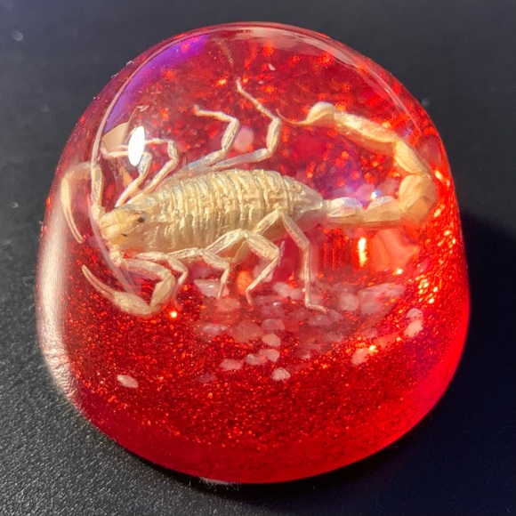 Scorpion Paperweight Acrylic Resin Dome Red Base with Glitter Felt Bottom - Picture 13 of 14